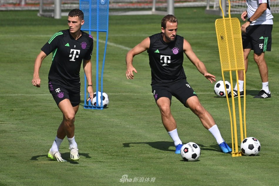 运动员群体 运动员群体